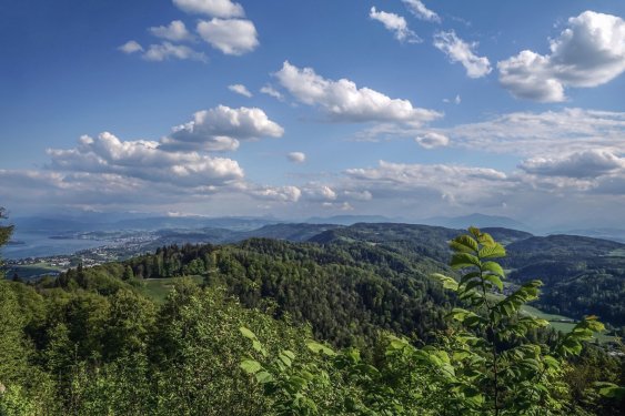 gallery/whatsapp image 2022-03-14 at 3.50.50 am